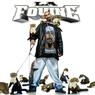 la fouine coul
